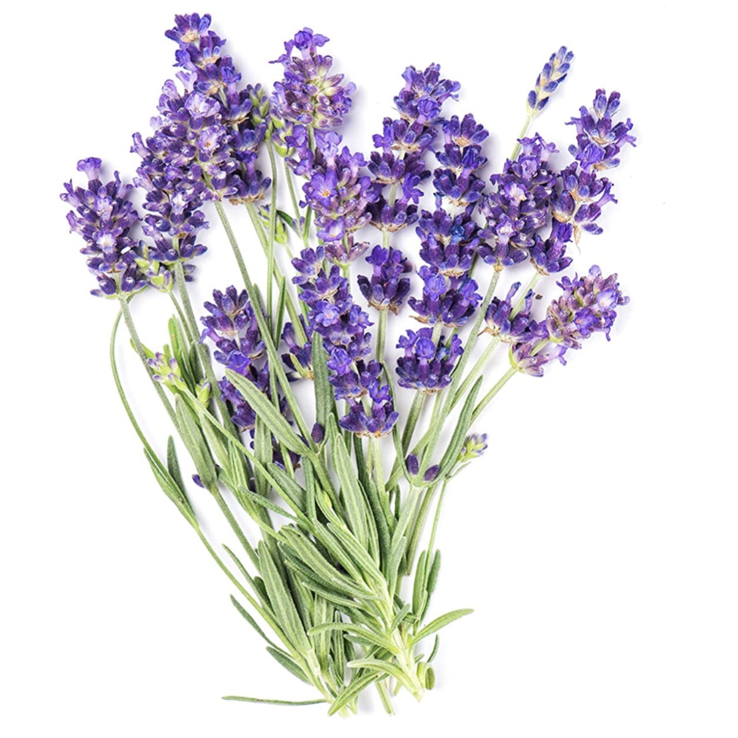 Lavender oil - 15ml