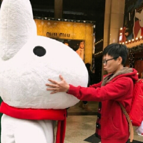 igaa