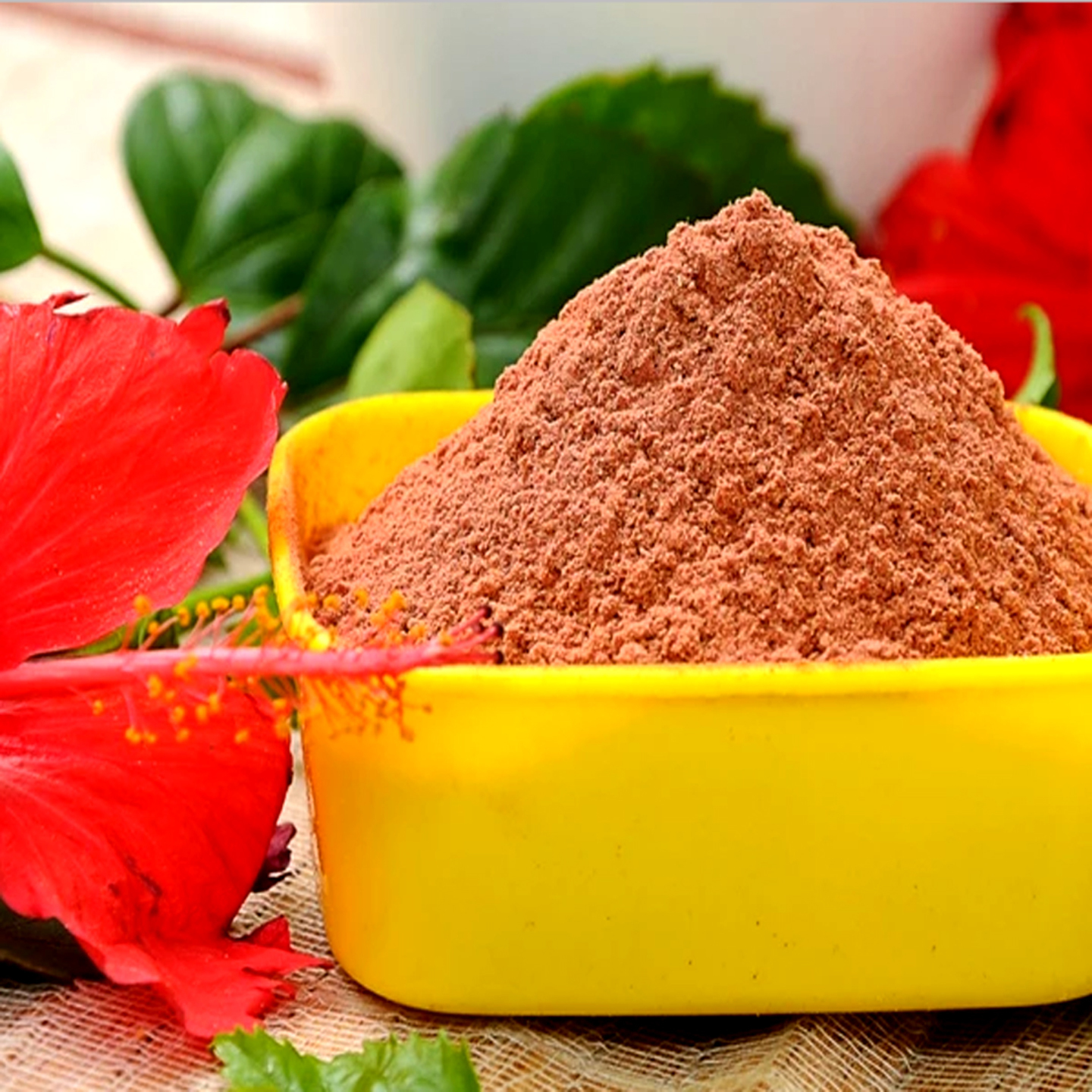 HIBISCUS POWDER SEMBARUTHI PODDI - 100GRMS