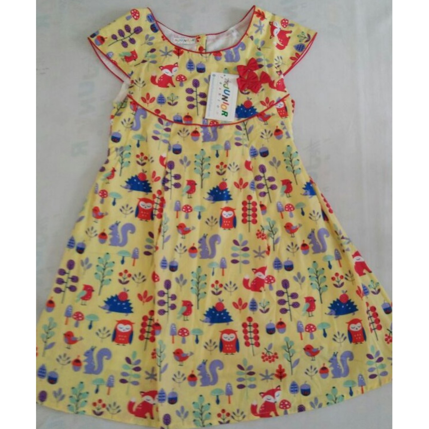 Girls Frock - Age 2 to 11 Years