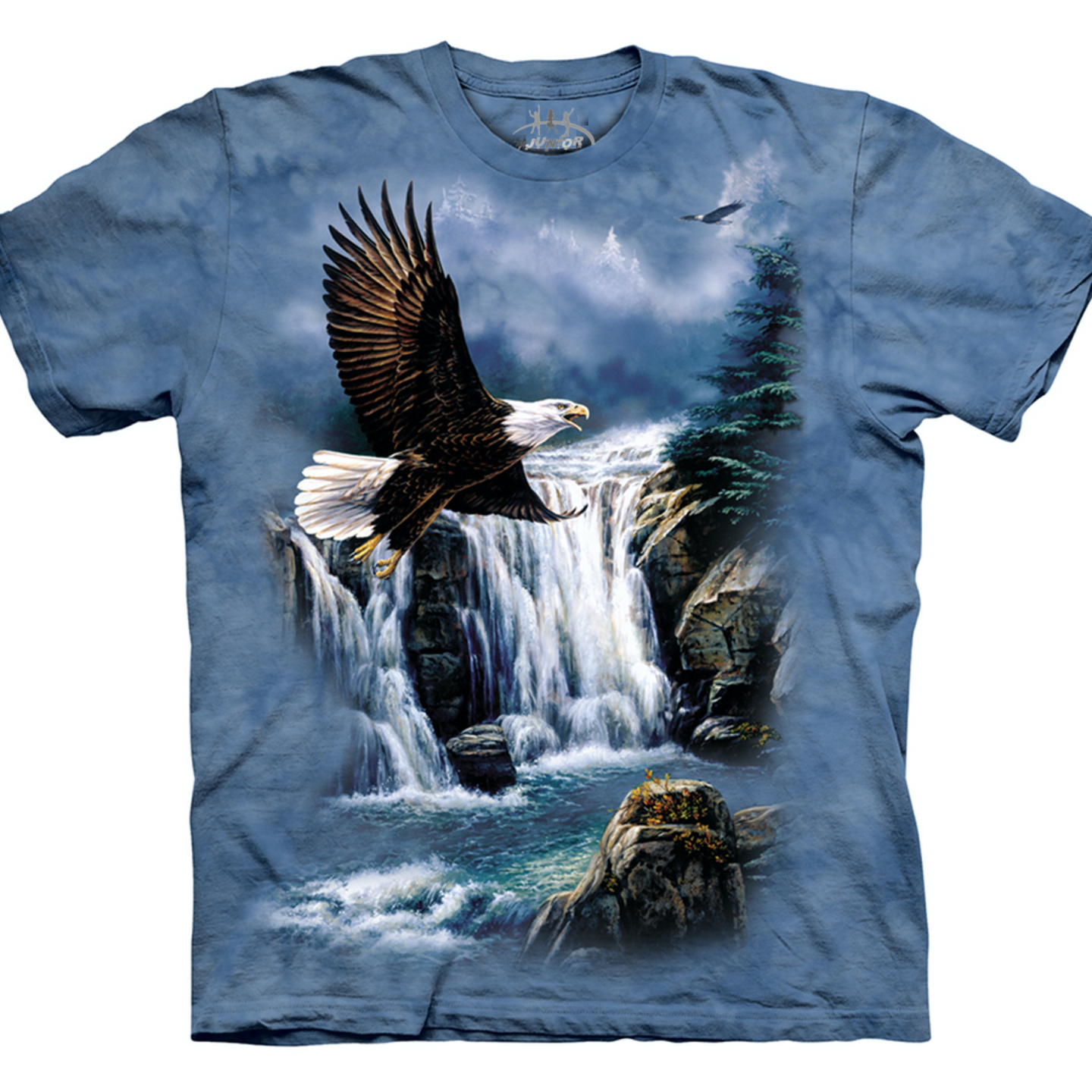 Eagle and Waterfall 3D T Shirt