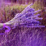 img-1527700887078