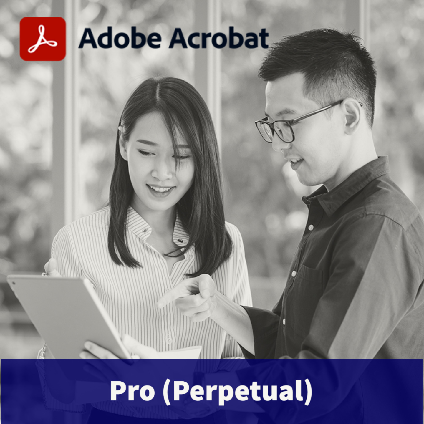 Adobe Acrobat Pro (Perpetual)