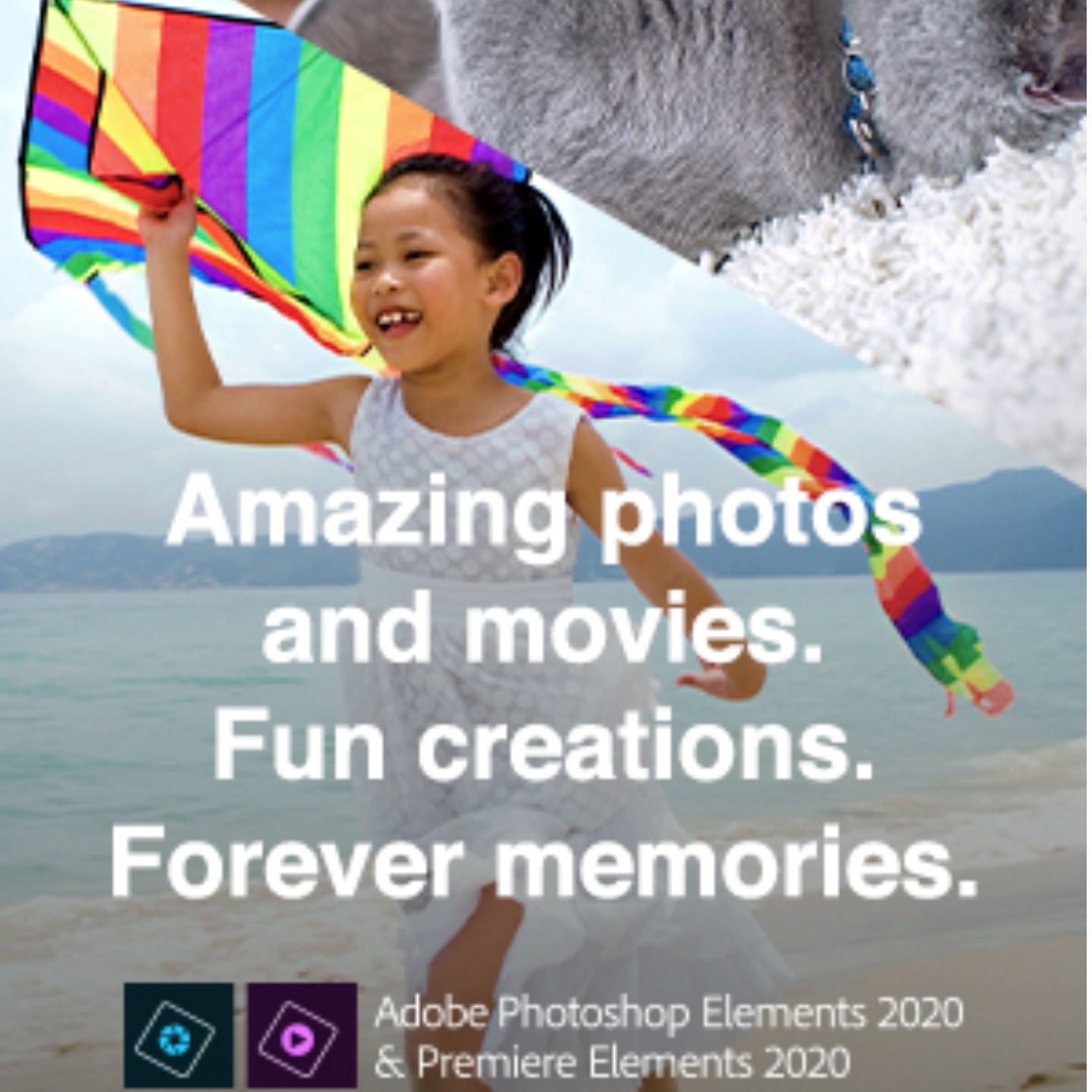 Adobe Photoshop & Premiere Elements 2020 Multi Platform