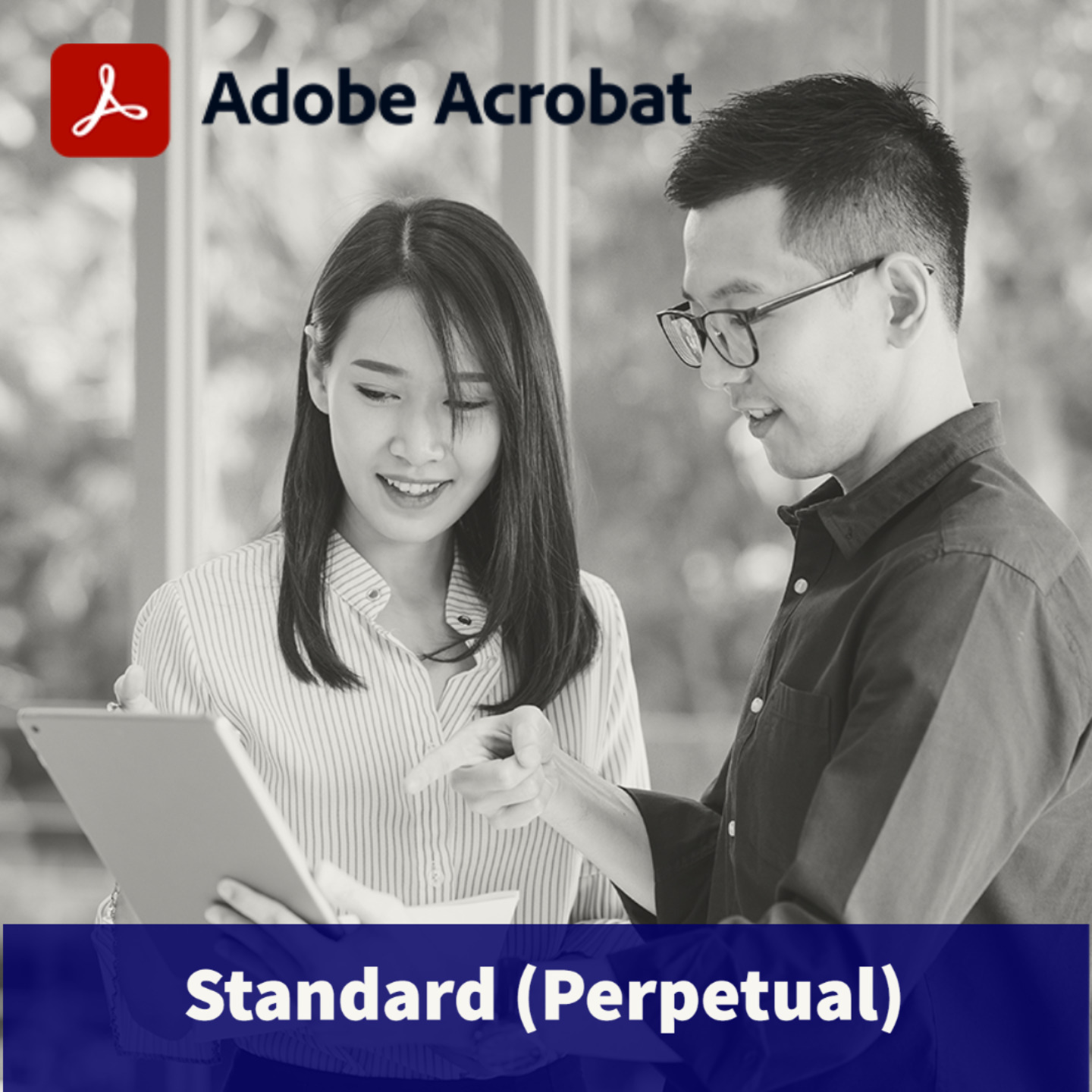 Adobe Acrobat Standard (Perpetual)