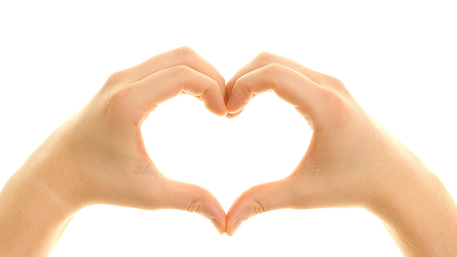 hands heart 2948001_xl-1.jpg