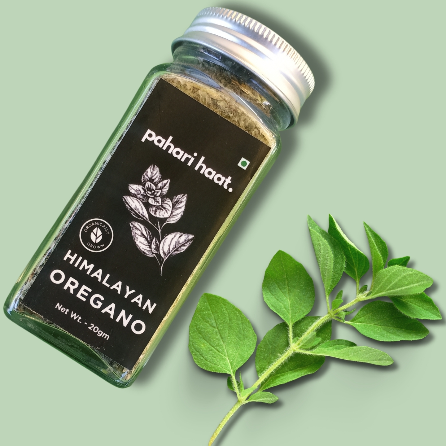 Himalayan Oregano