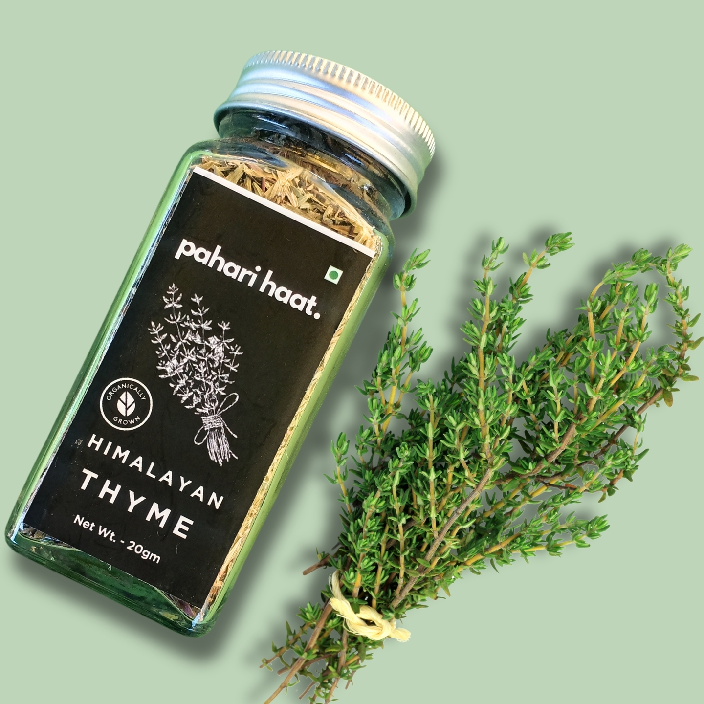 Himalayan Thyme