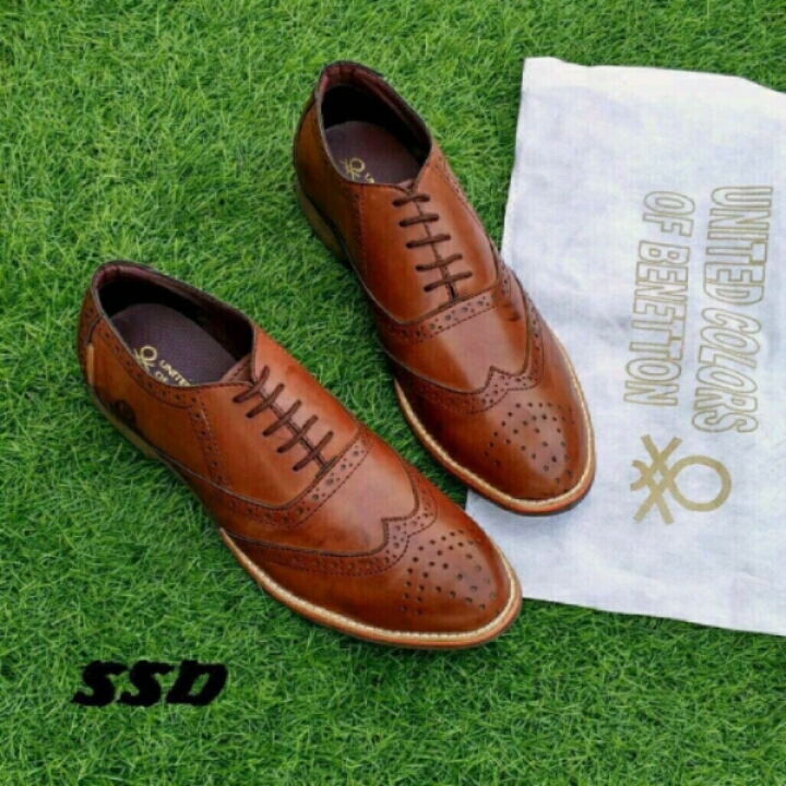 UCB Party Wear Lace Shoes (Brown)