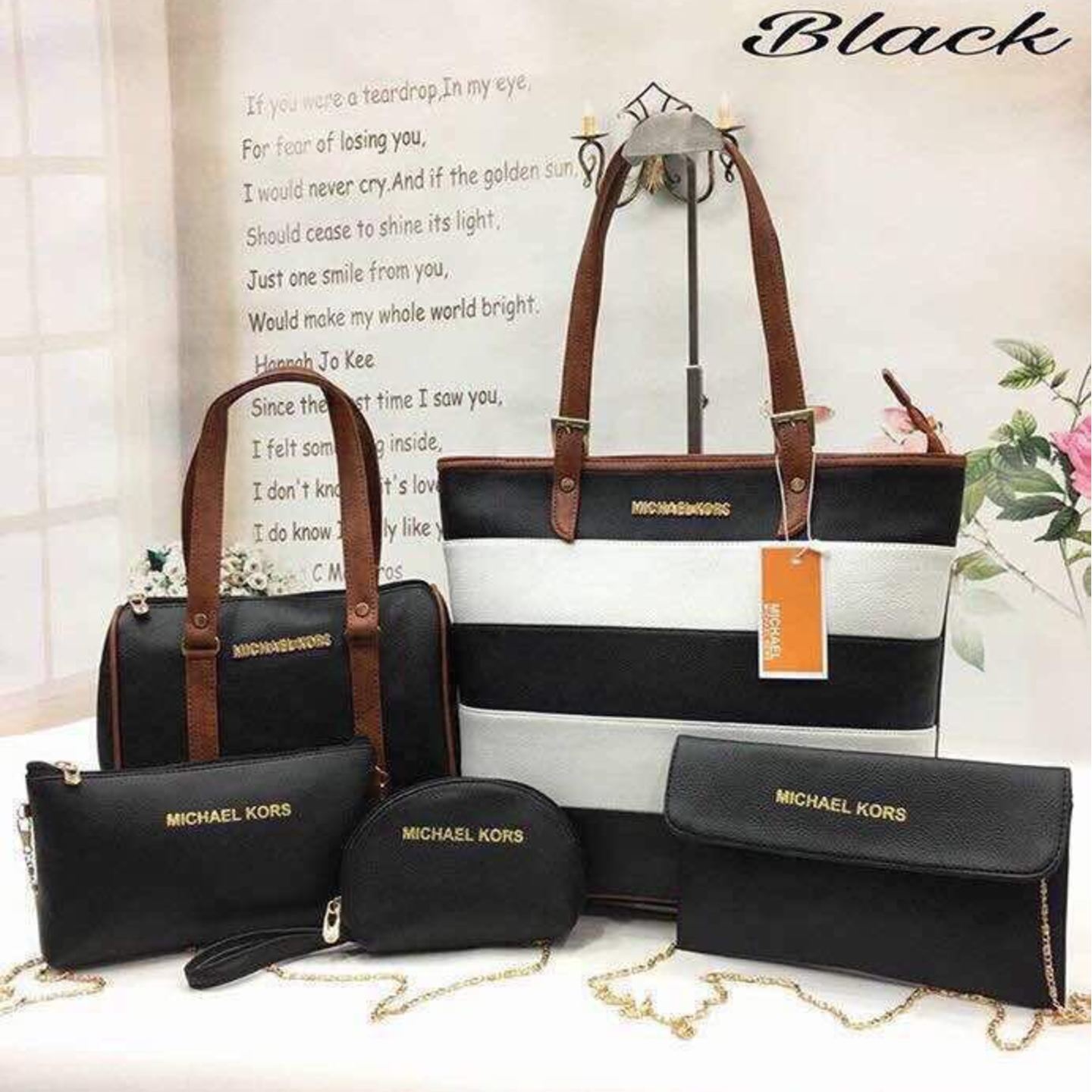 MICHAEL KORS Bag for Women (Set of 5)