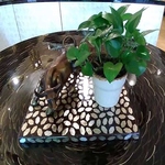 img-1545980076261