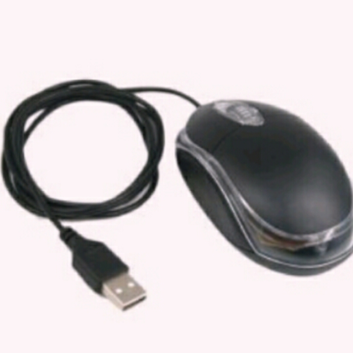 Mouse for lap