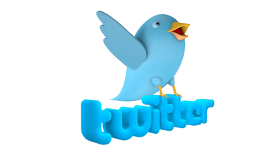 cartoon-twitter-logo-spin-loop_re50yo3b__F0005.png