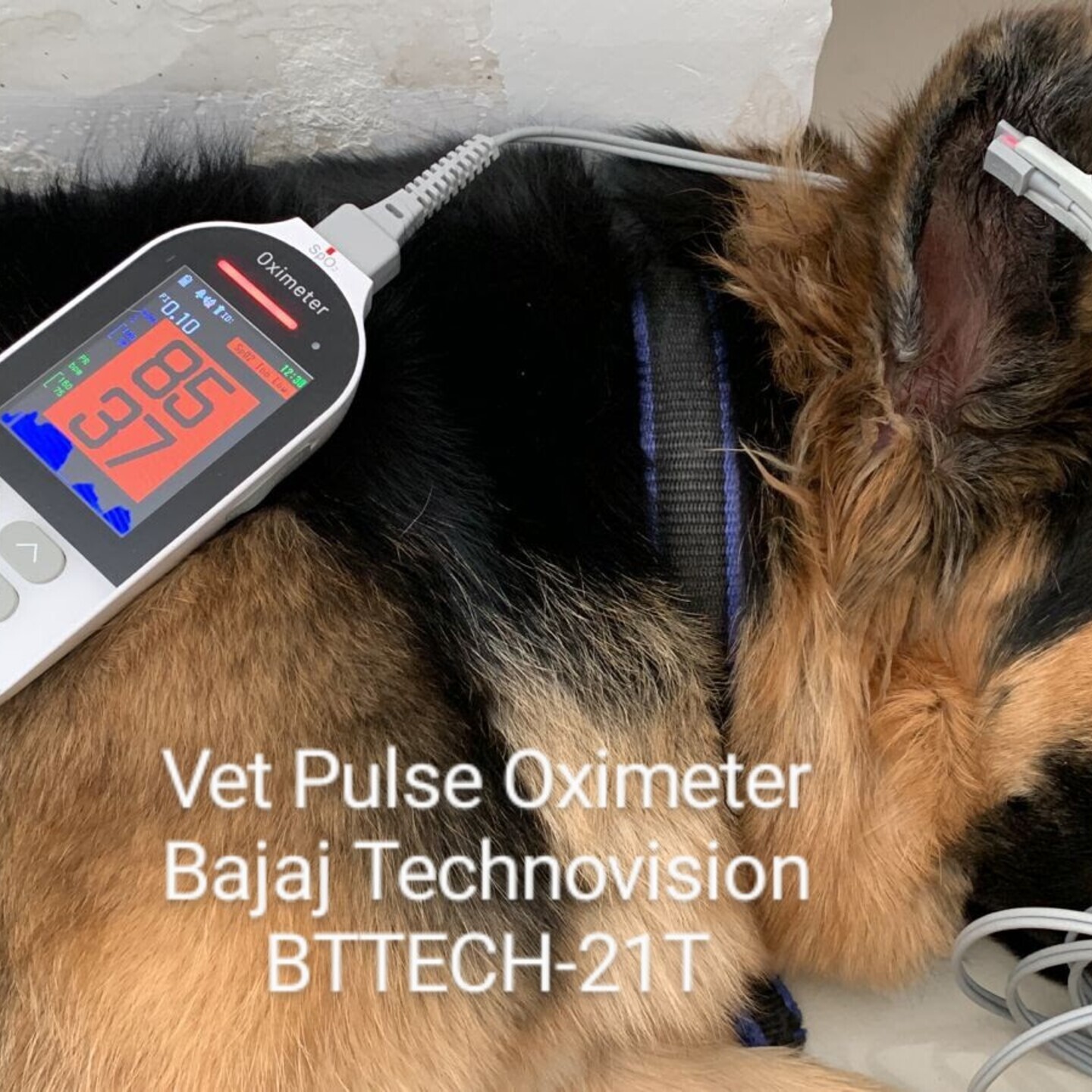 Pulse Oximeter for Animals