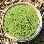 Organic Moringa Powder / Super Food