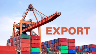 export.jpg