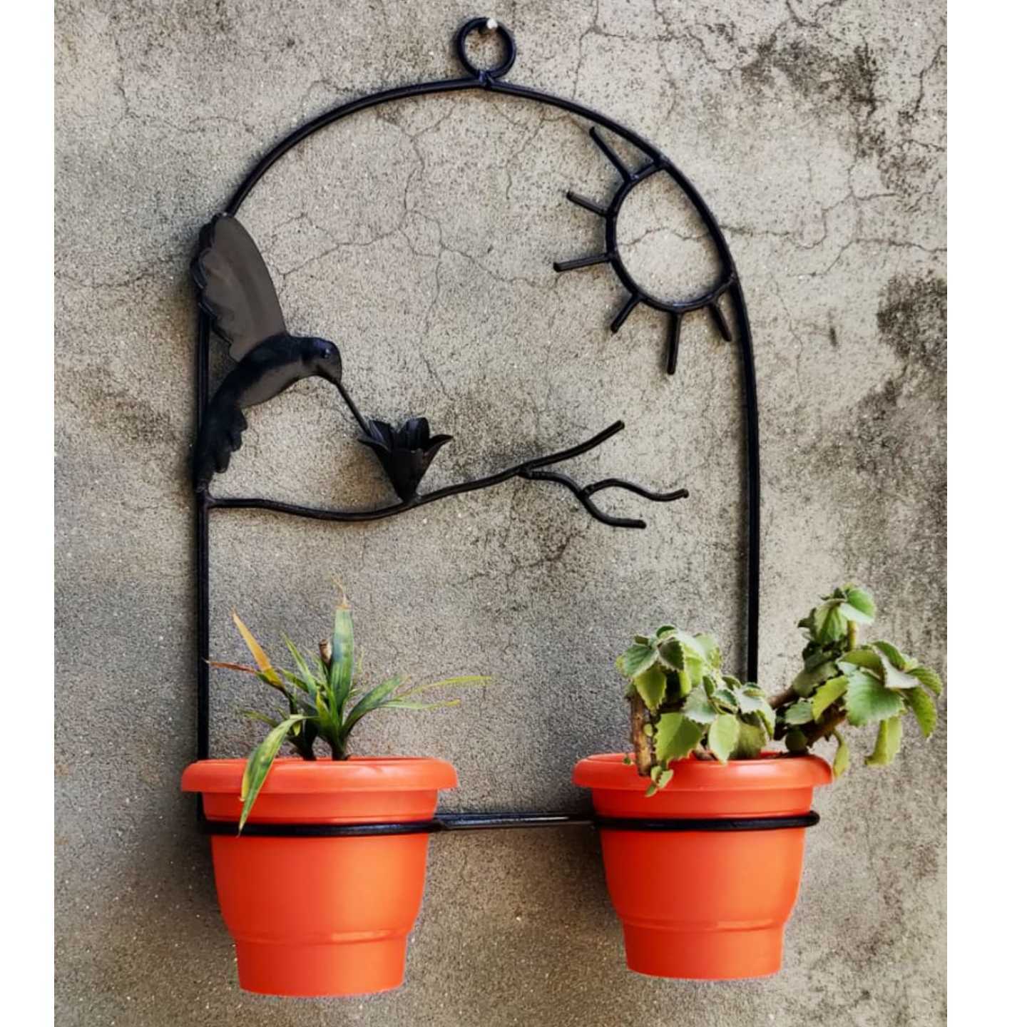 Early Bird Wall Mount Planter Iron Black 15 x 11 Inch ( with Flower Pots) 