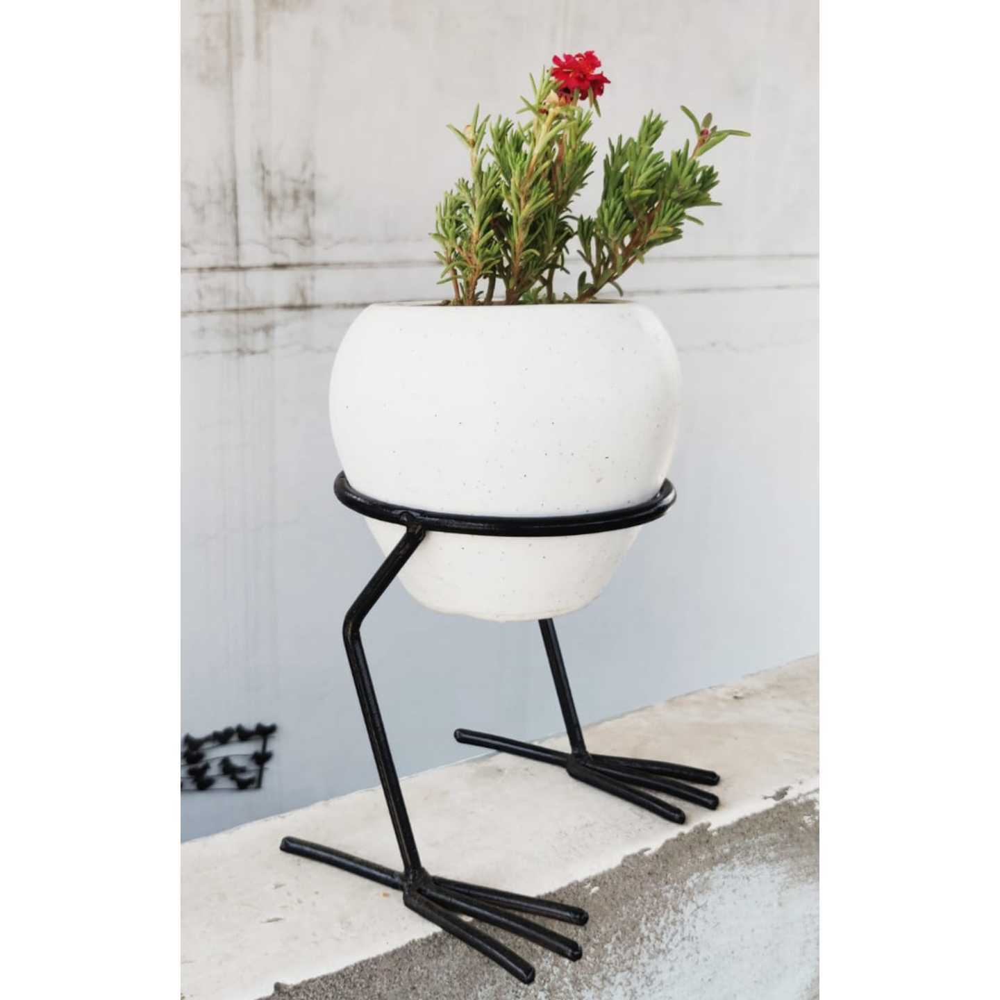 Free Standing Duck Leg Iron Planter Stand with Flower Pot Black 6.50 x 6 Inch … 