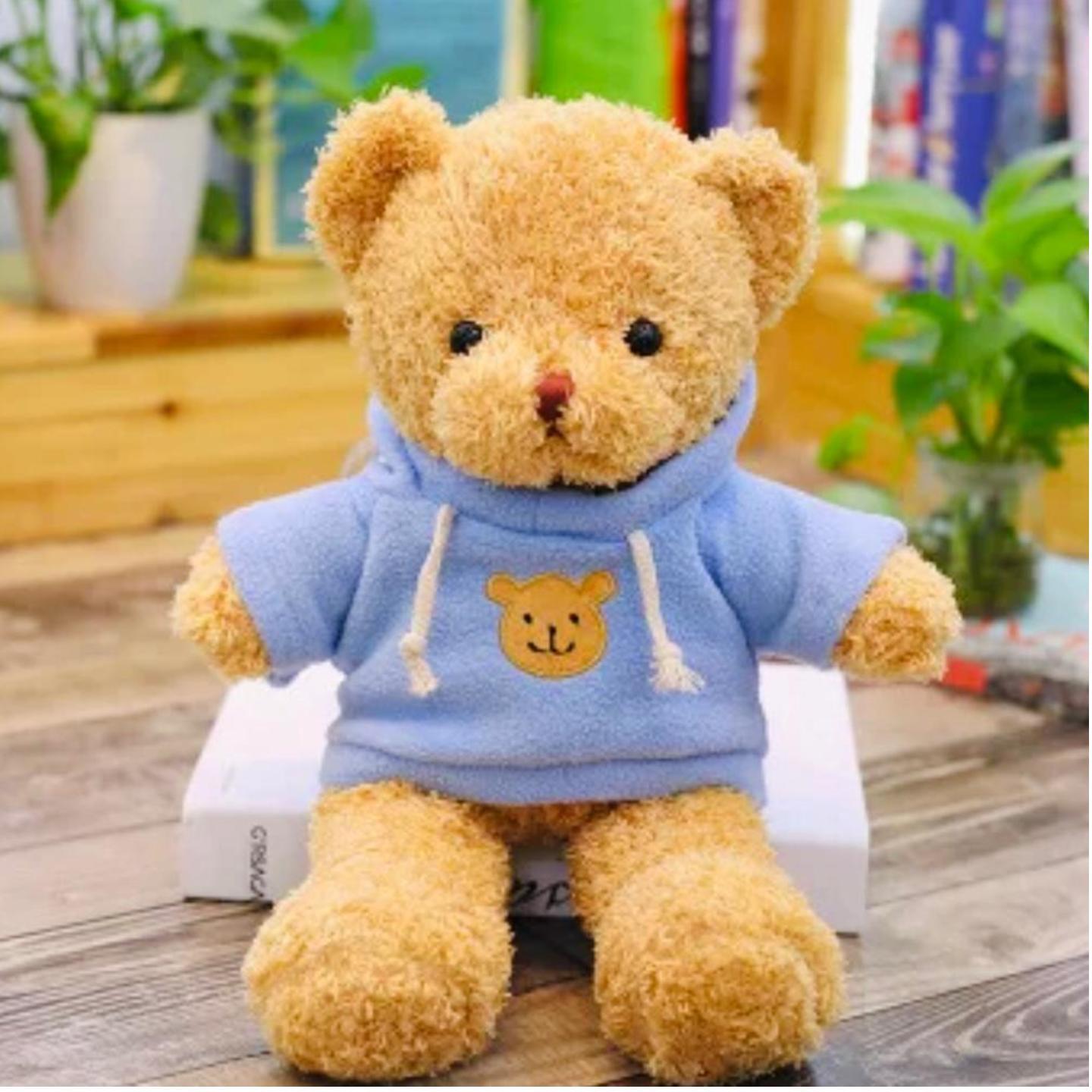 teddy blue colour
