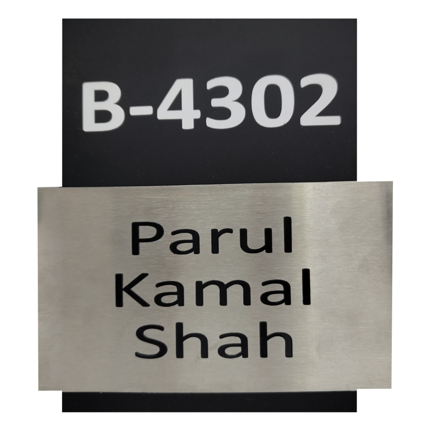 Parul Shah - Acrylic + Stainless Steel