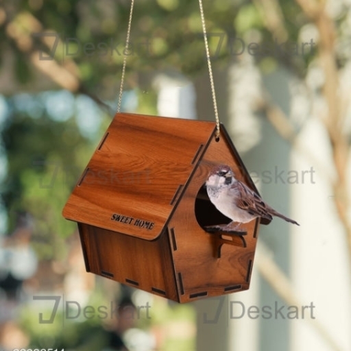 Unique Bird House & Feeder