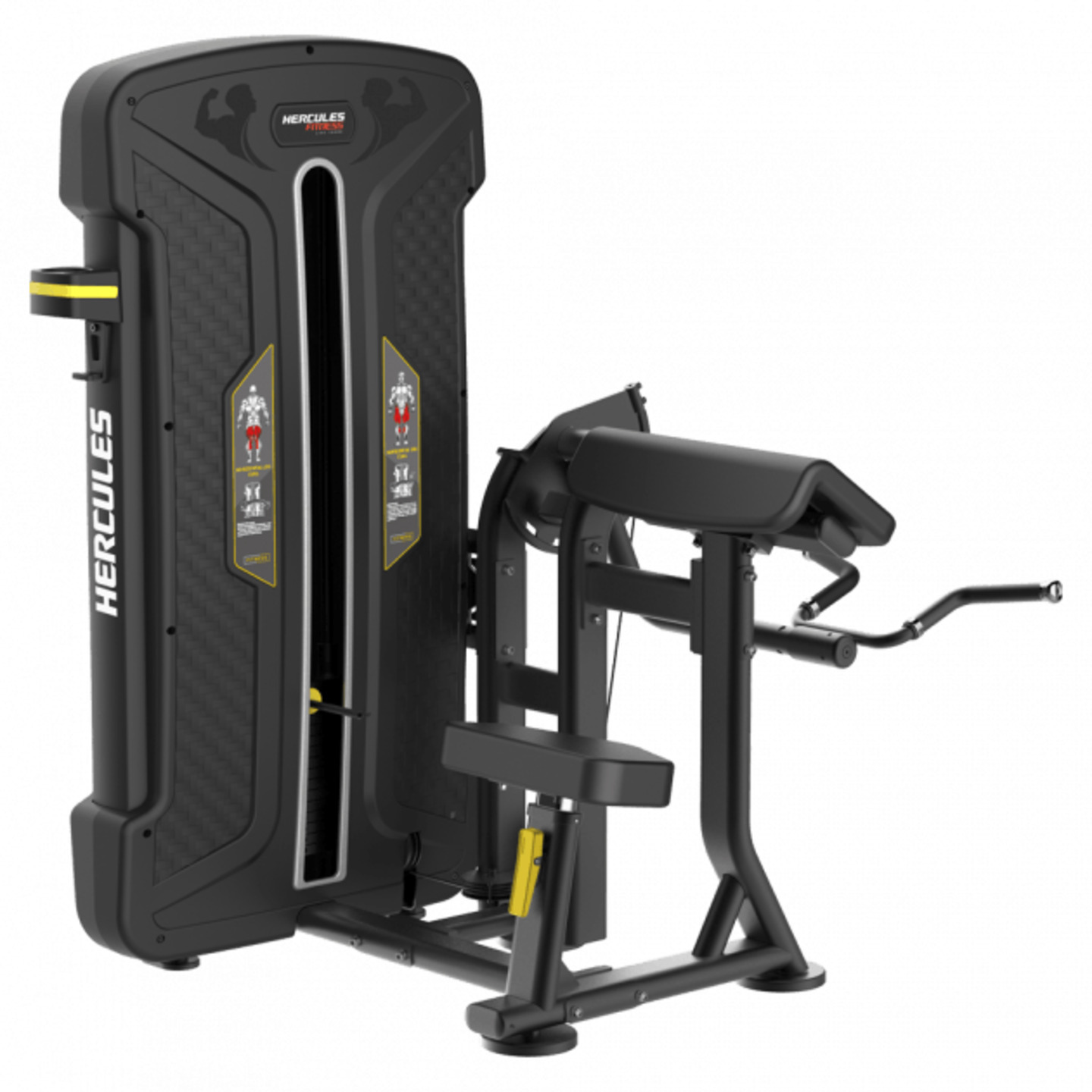 HERCULES  BICEPS  CURL