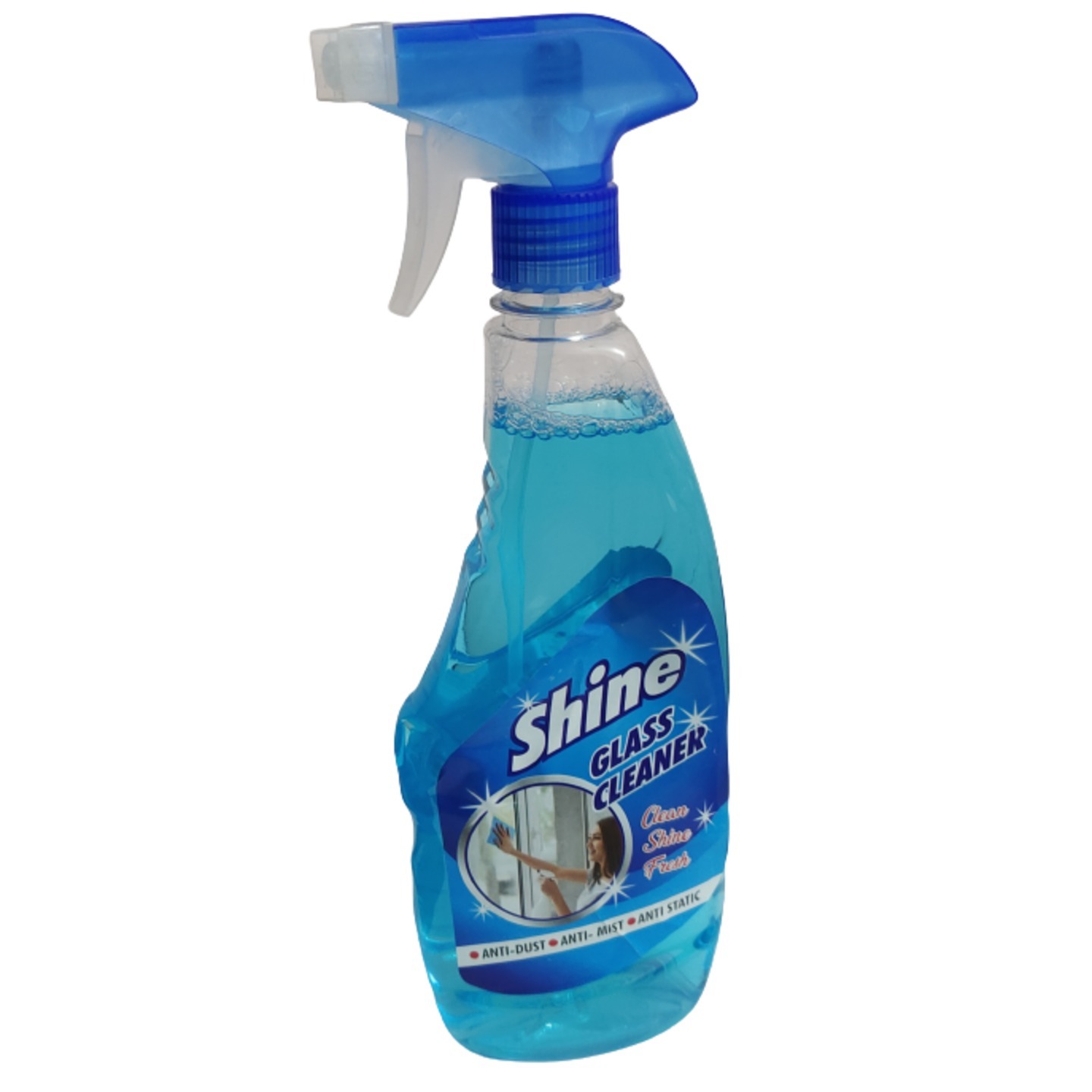 Sanit Shine Glass and Hard Surface Cleaner 500ml