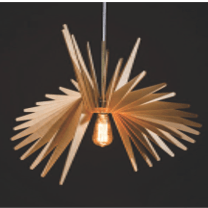 Blazar Pendant Light