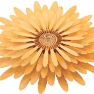 Ericia Pendant Light