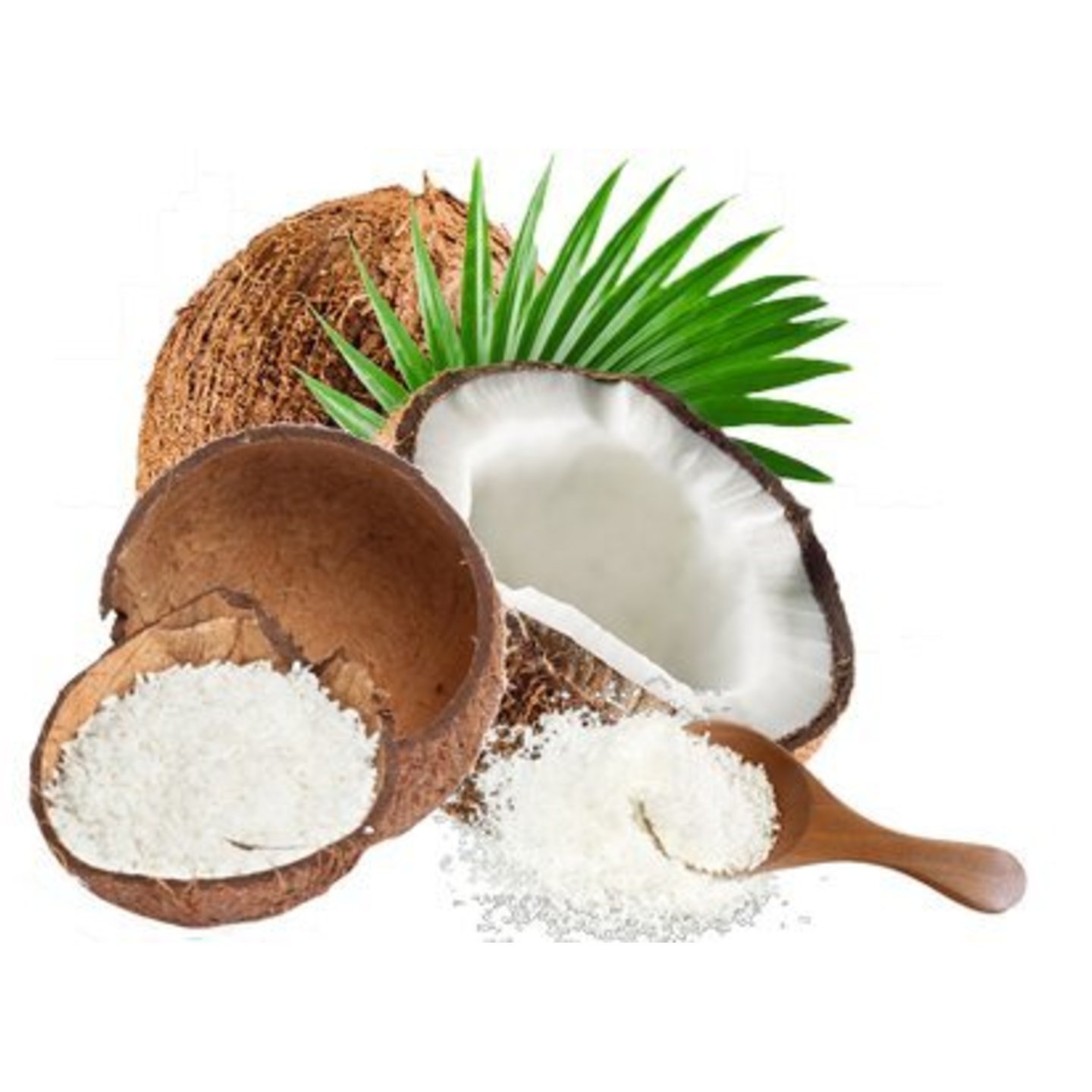 Desiccated Coconut Powder