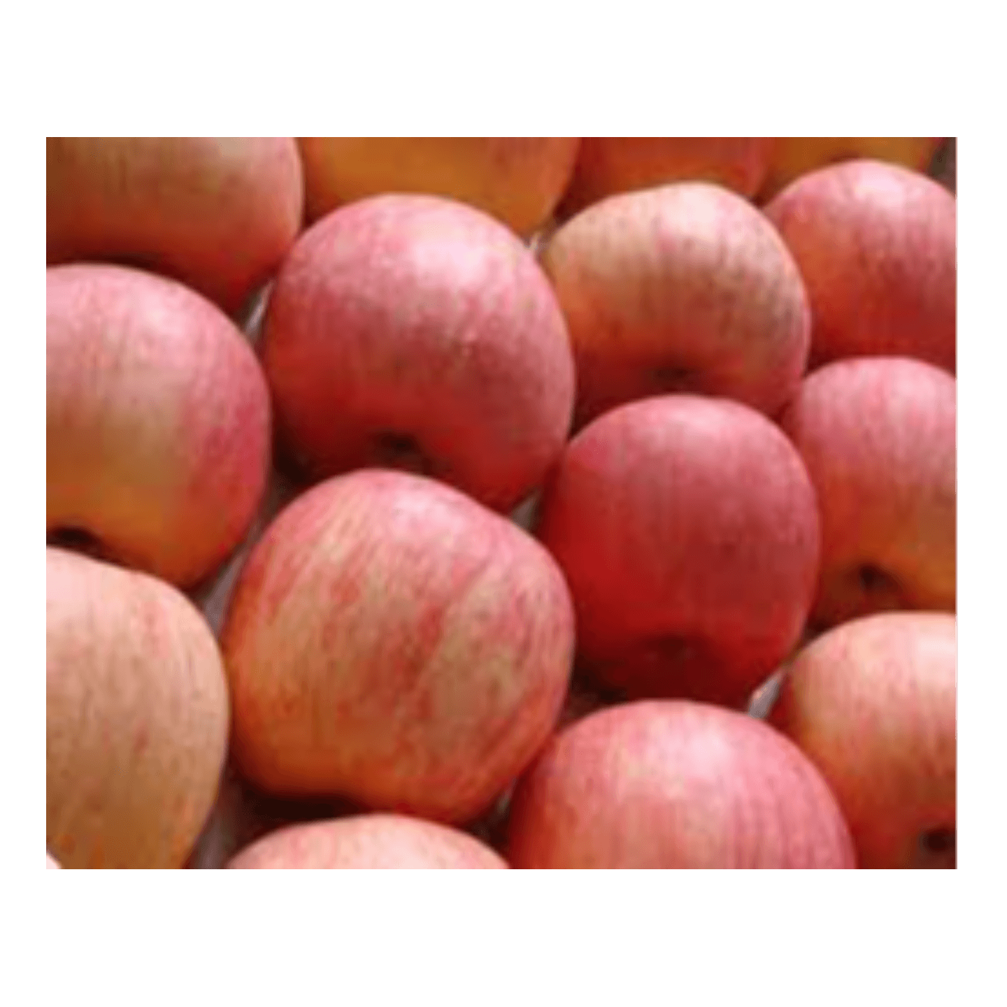 Apple Fuji Variety