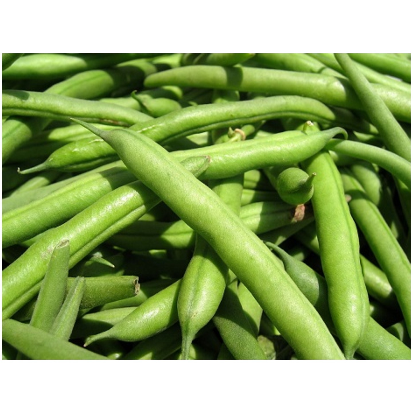 Green Beans