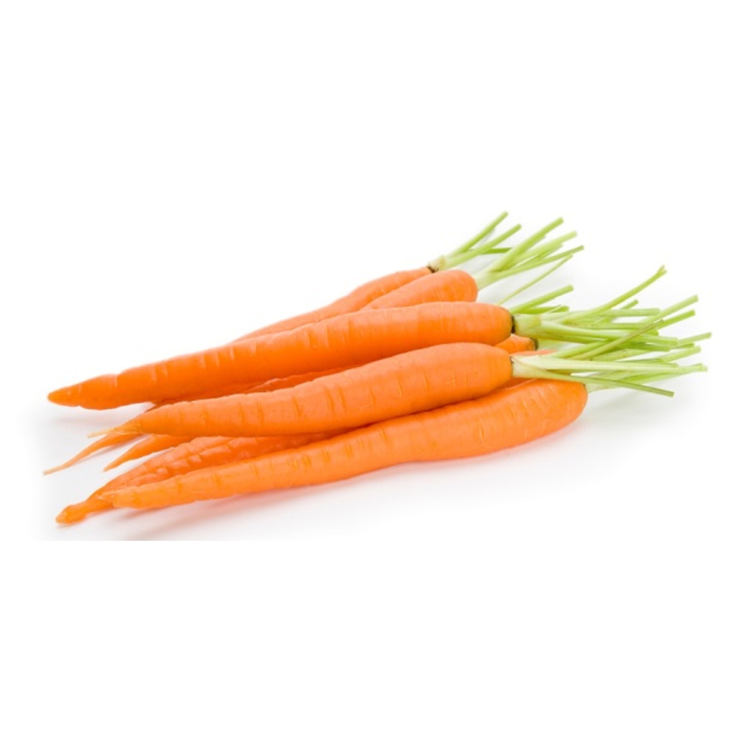 carrot
