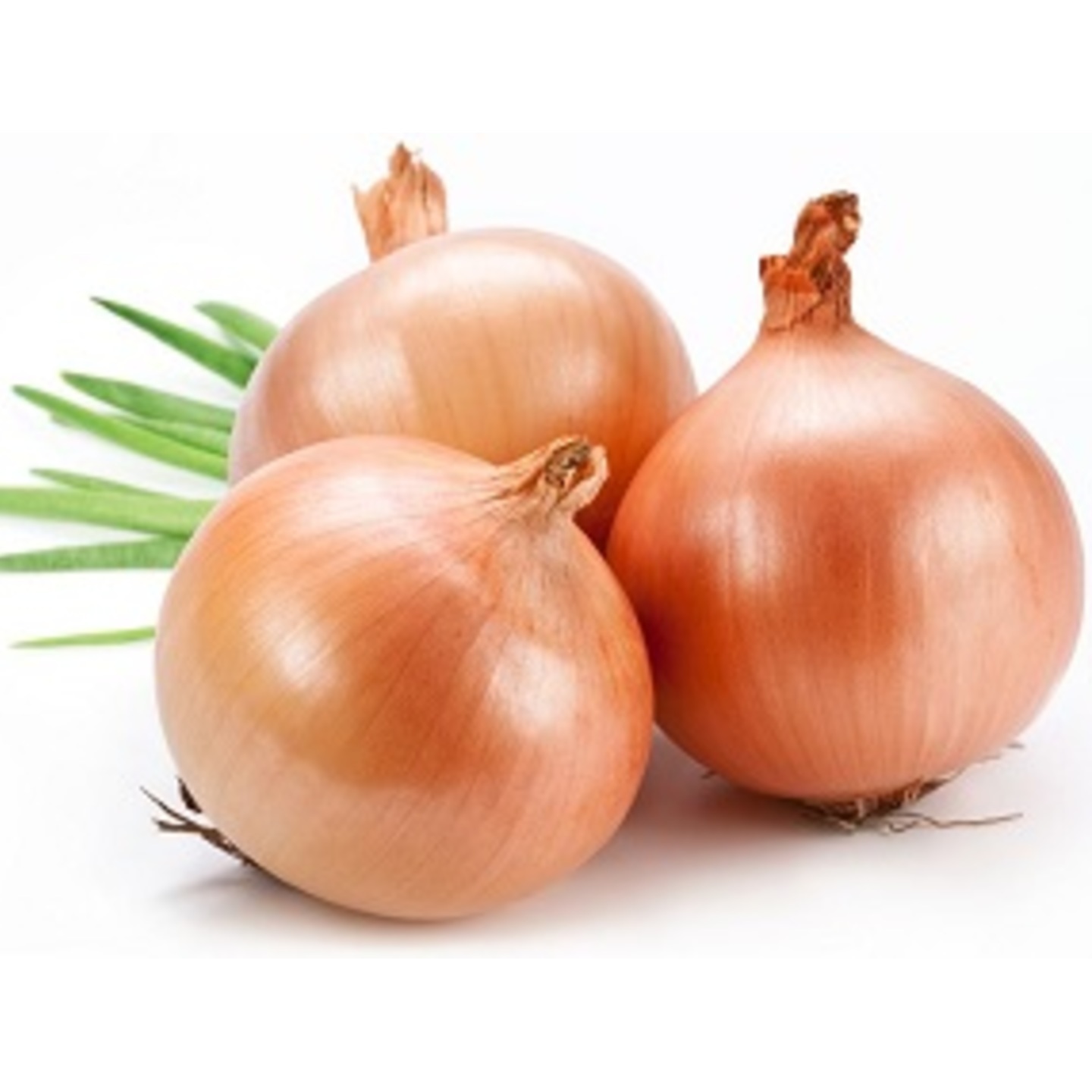 Onions Red