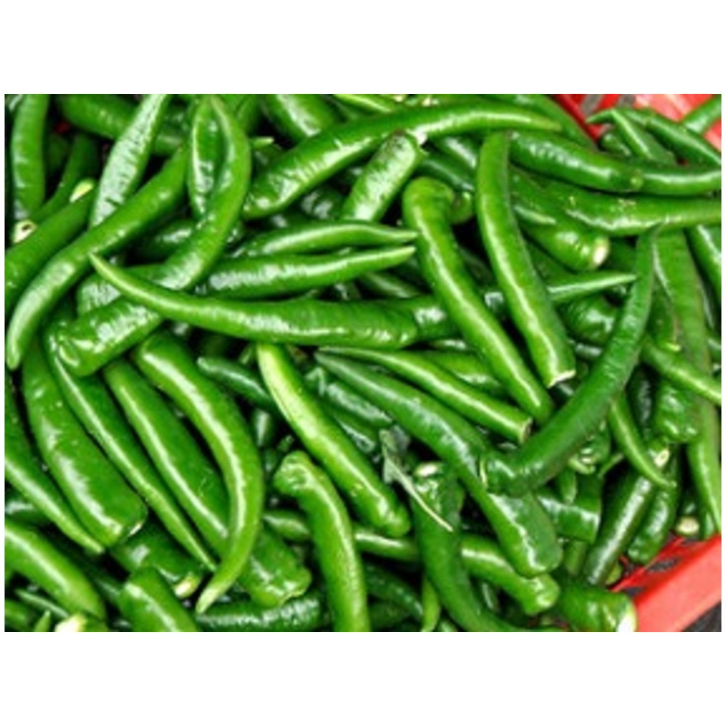 Green Chilli