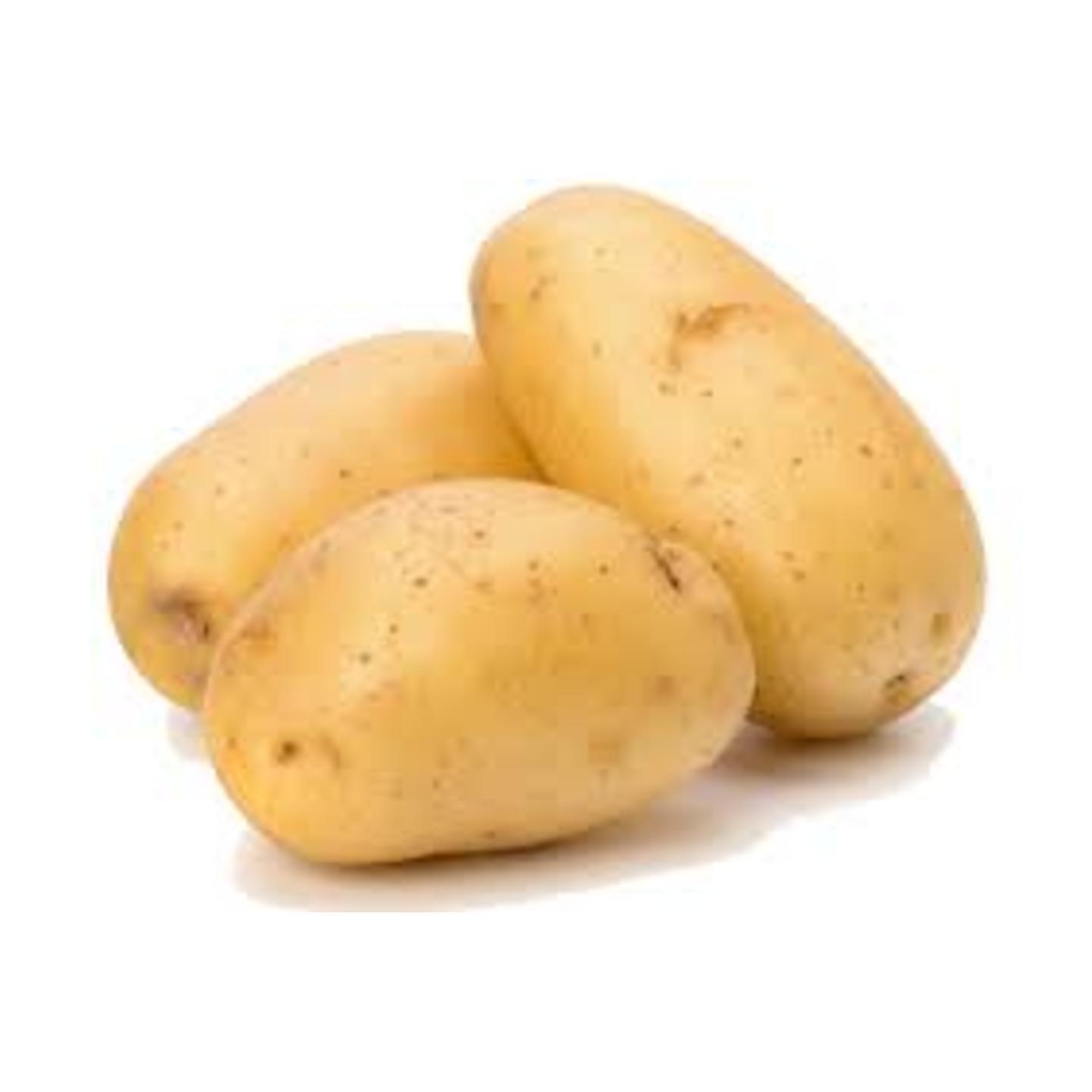 Potato