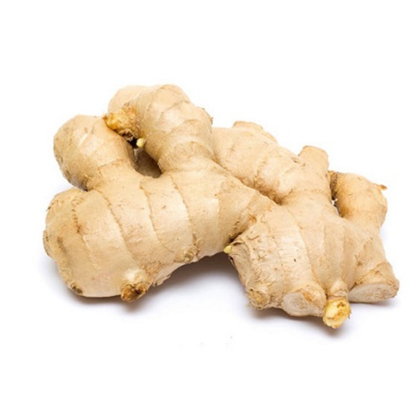 Ginger