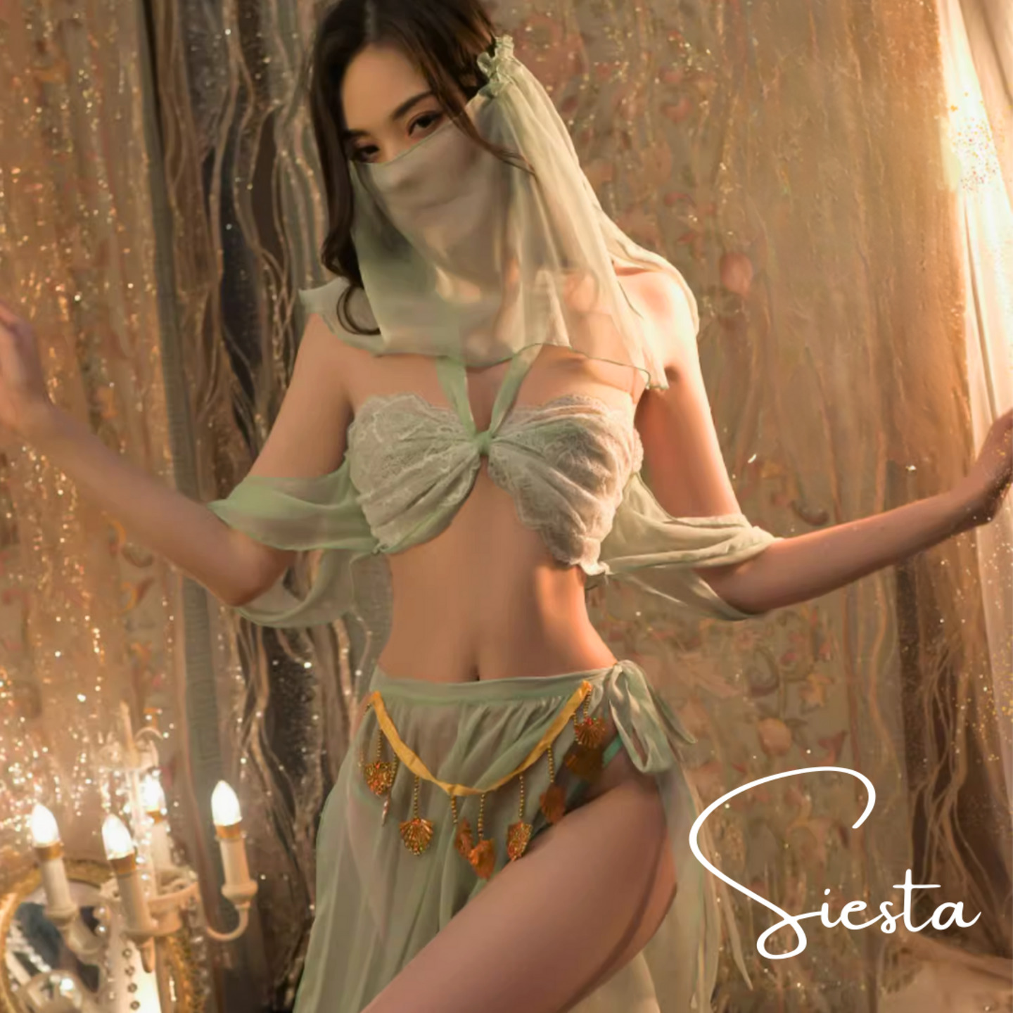 F113 Mystic Veil Arabian Princess Dancer Costume