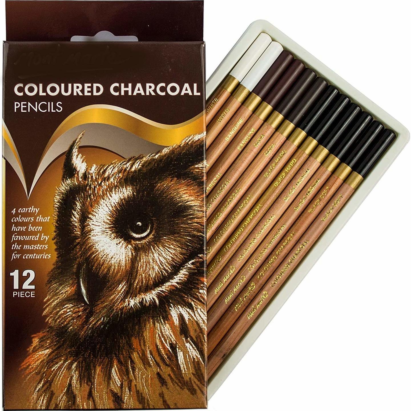 Paaroots Artistic Grade Coloured Charcoal Pencil Set of 12 Pencils for Beginners to Professionals