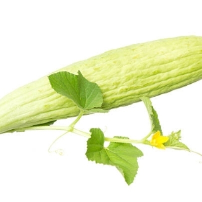 Armenian CucumberTar Kakri Seeds