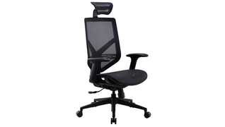 Ergonomical Task Chairs.jpg