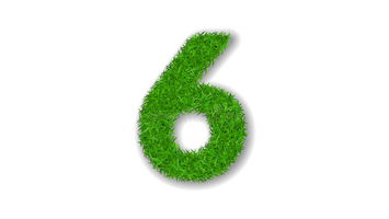 grass-number-six-green-d-isolated-white-background-symbol-fresh-nature-plant-.jpg