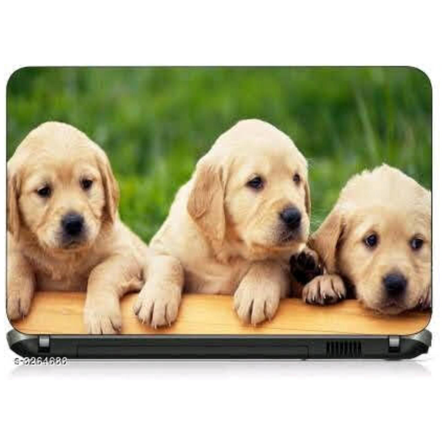 Laptop Skins