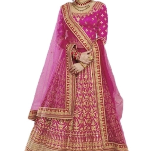 Attractive Classy Womens Lehenga
