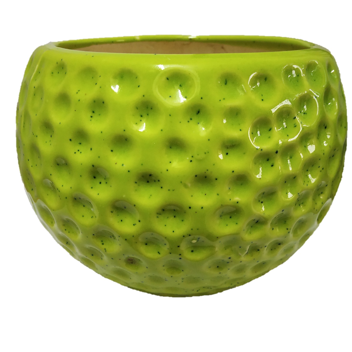 light green ceramic pot for indoor plants