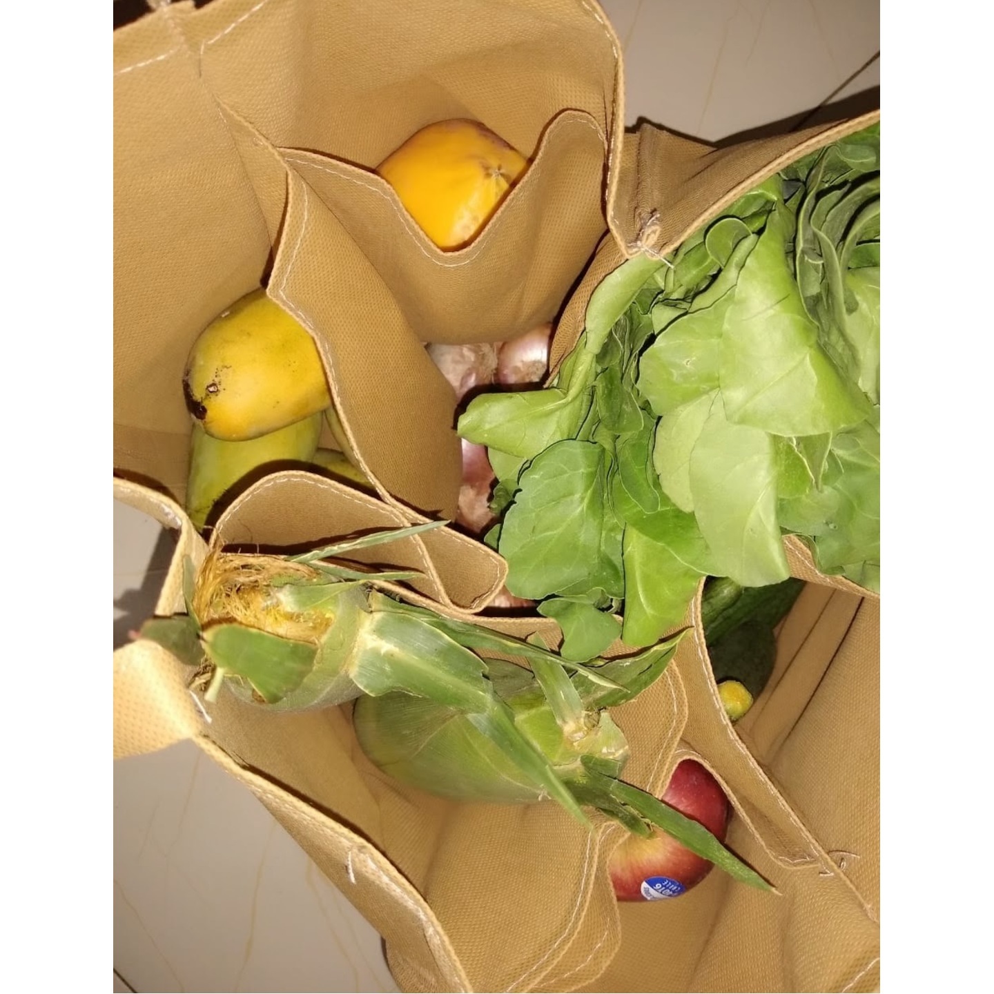 JonPrix 1 PC, Vegetable, Grocery Bag With 6 Pockets
