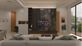 TV Wall Focus-2.jpg