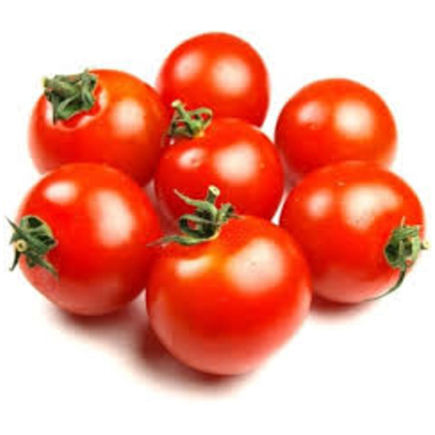 Tomato