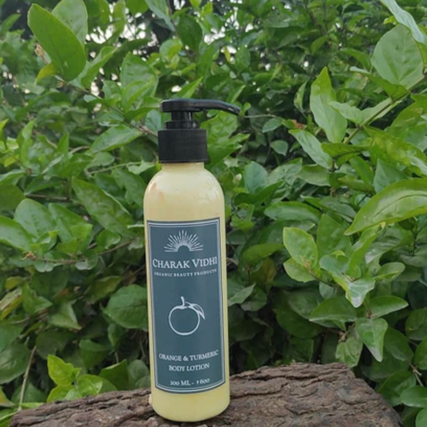 Orange and Turmeric Body Lotion