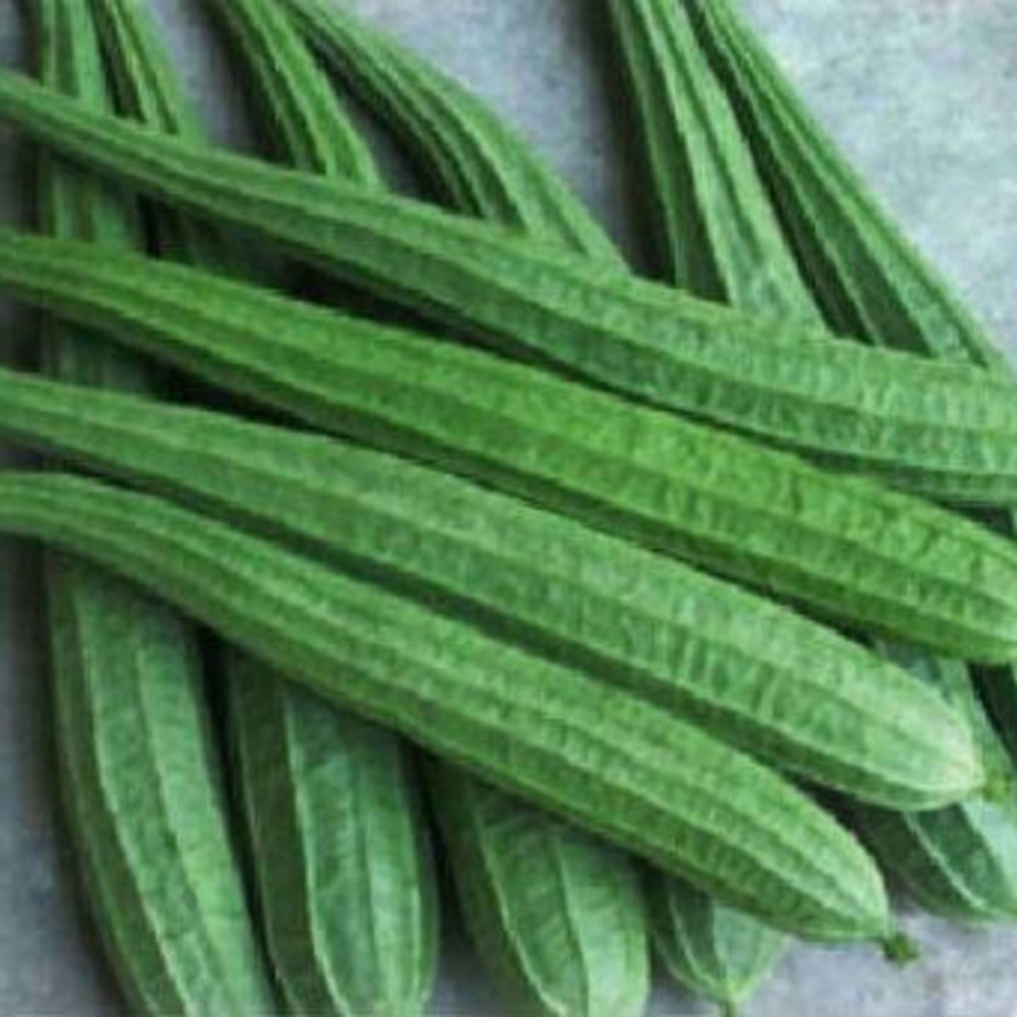 Ridge Gourd